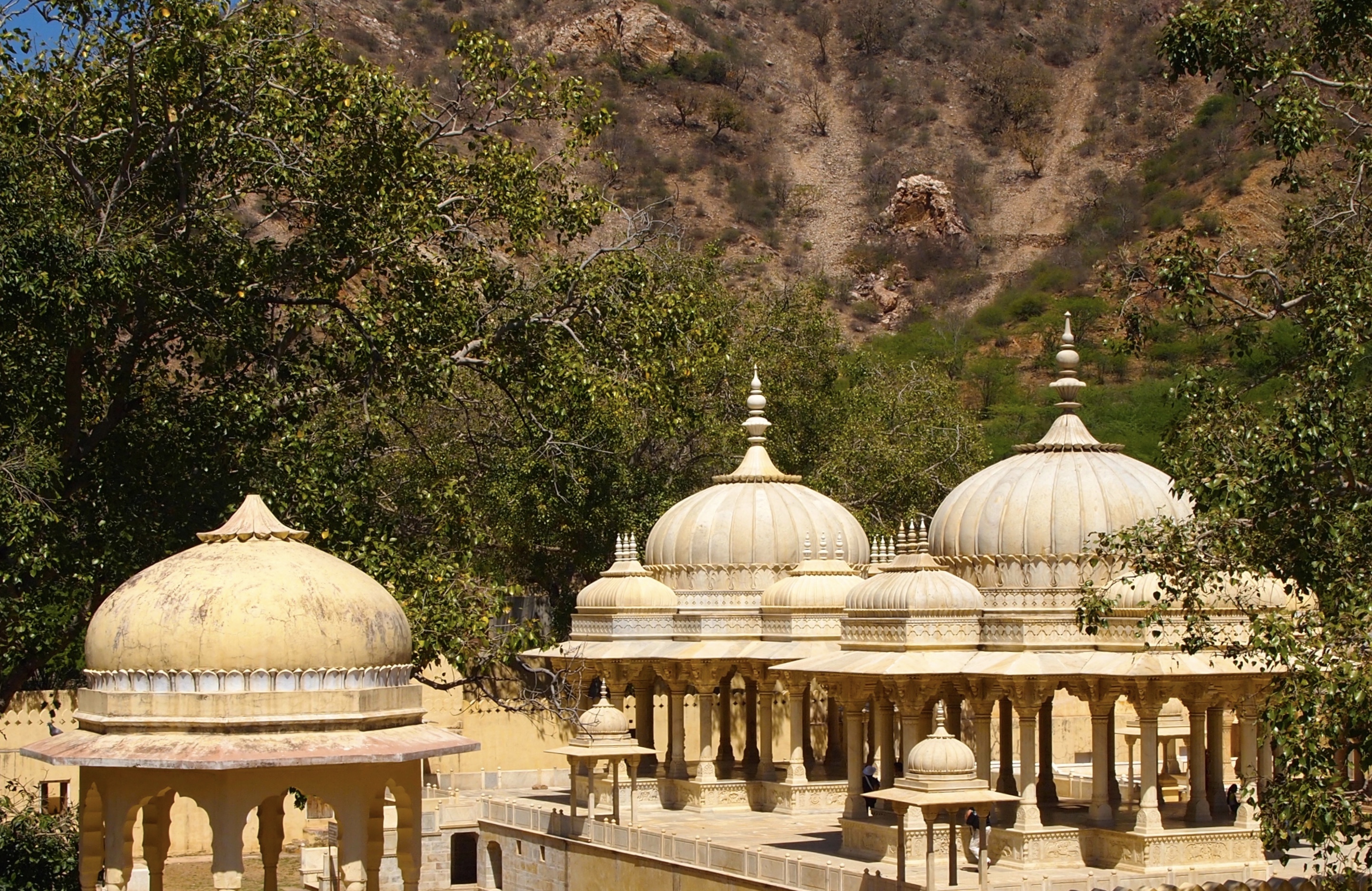 fullsizeoutput_1b3d7