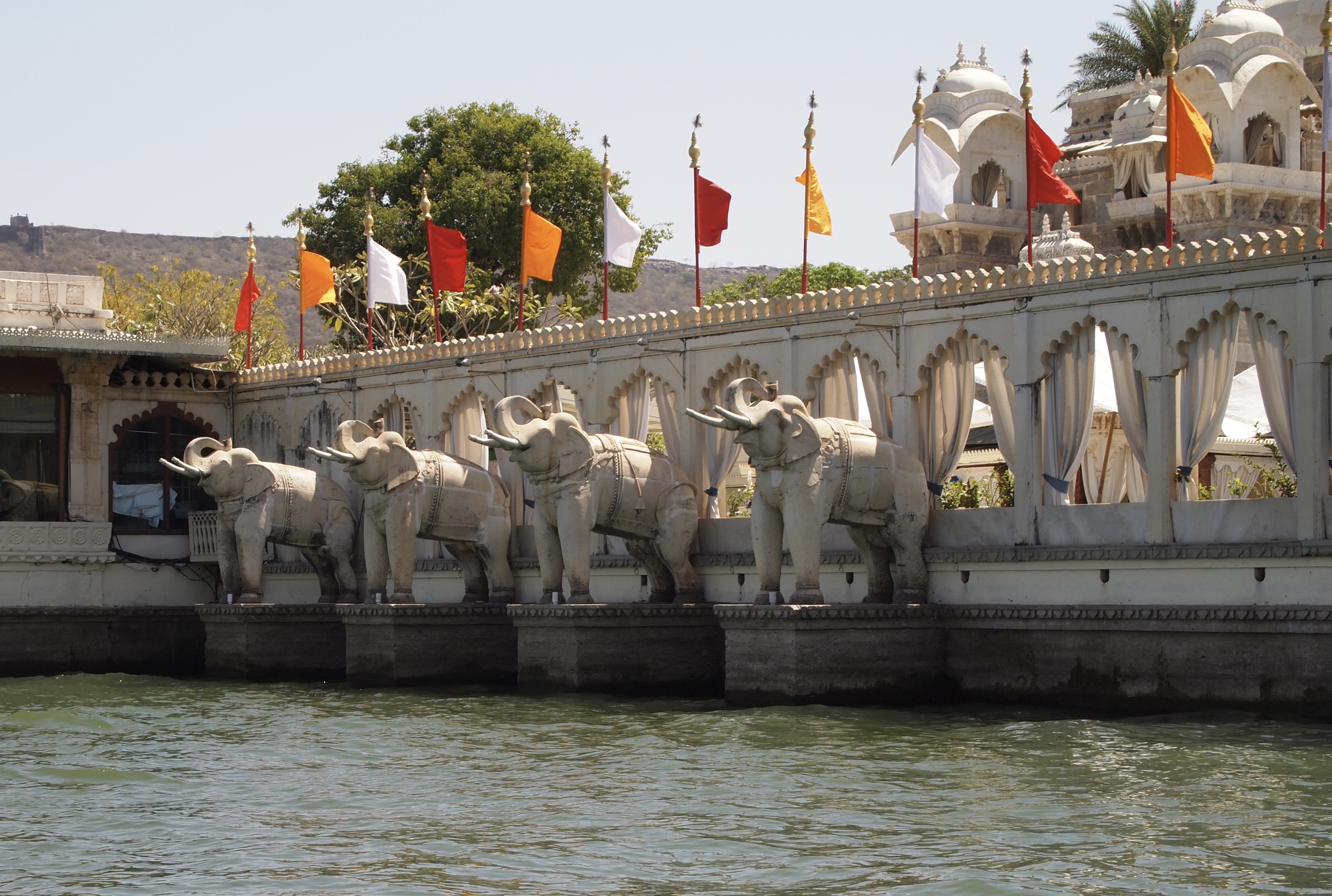 fullsizeoutput_1b3ec