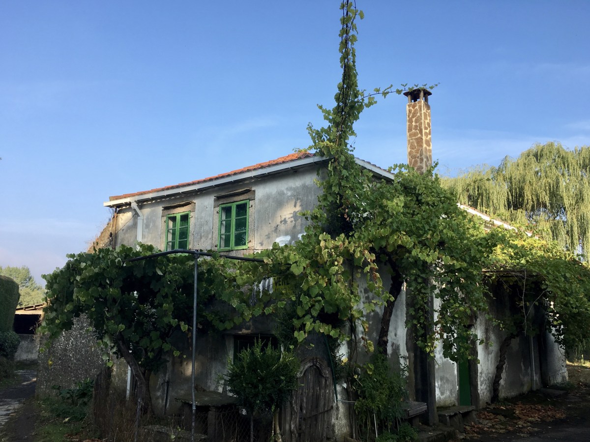 fullsizeoutput_1b454