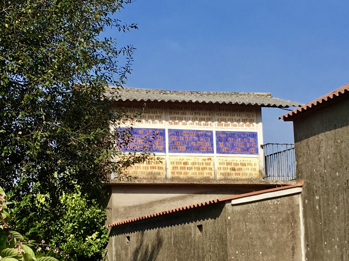 fullsizeoutput_1b45a