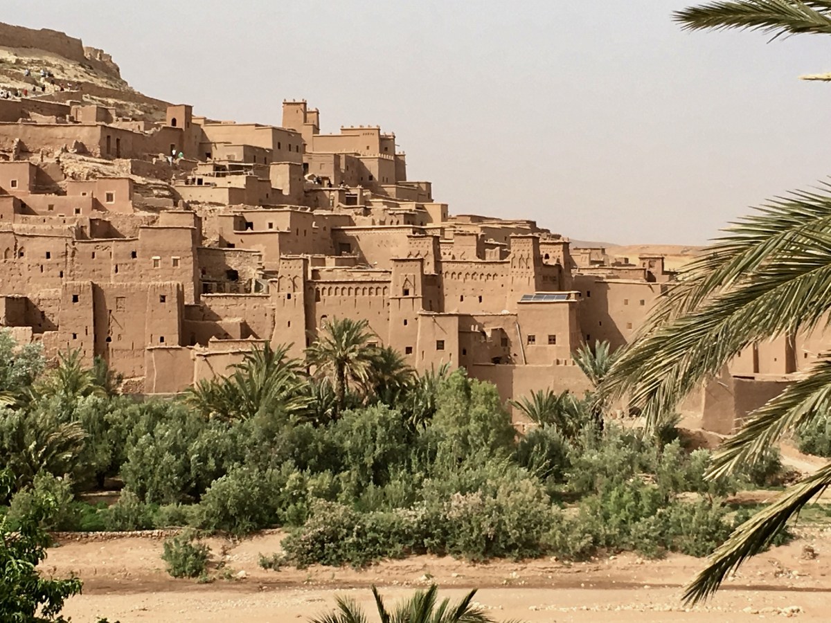 fullsizeoutput_1b489