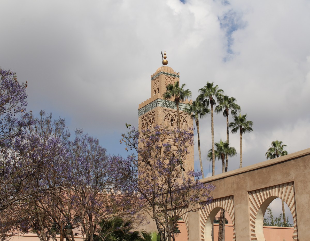 fullsizeoutput_1b48e