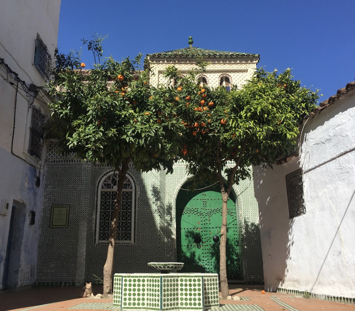 fullsizeoutput_1b491