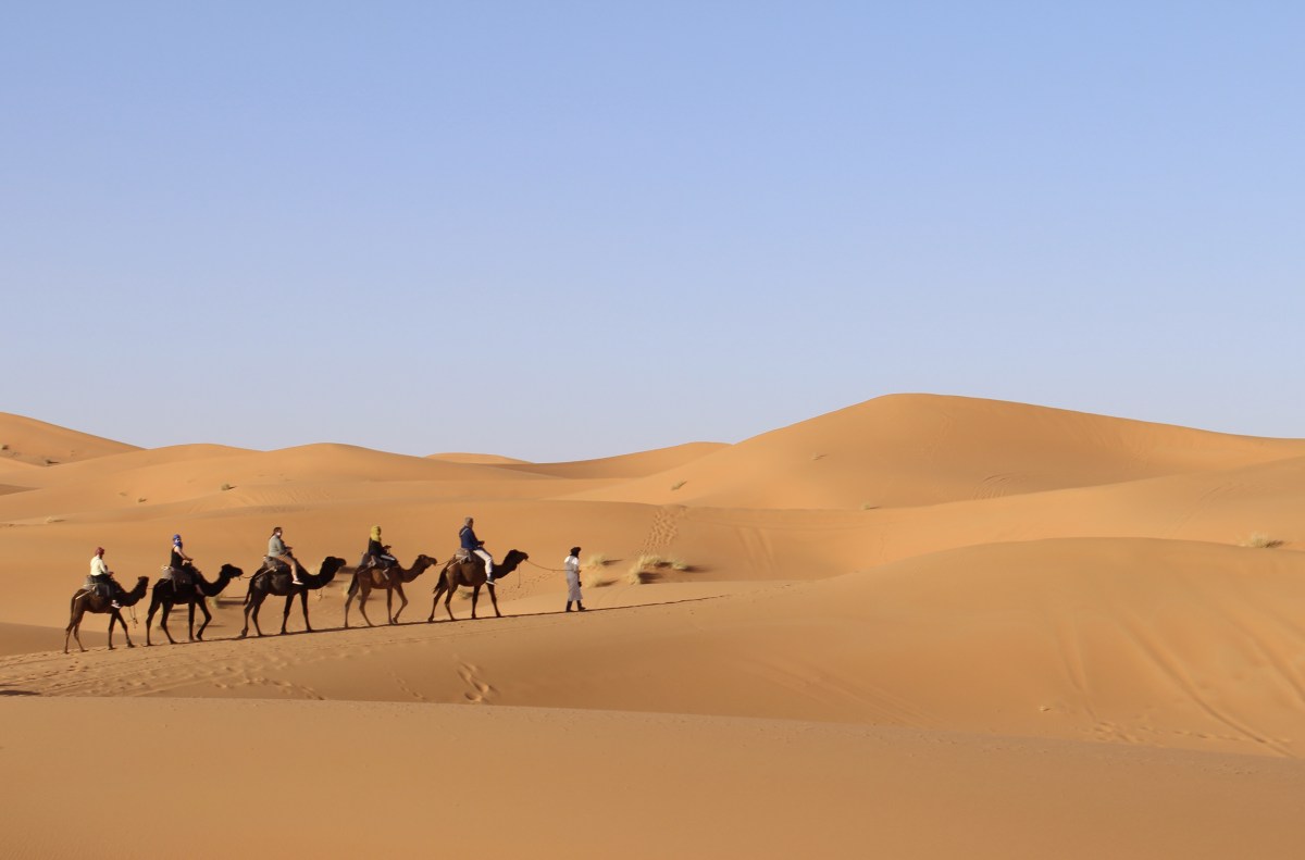 fullsizeoutput_1b59f