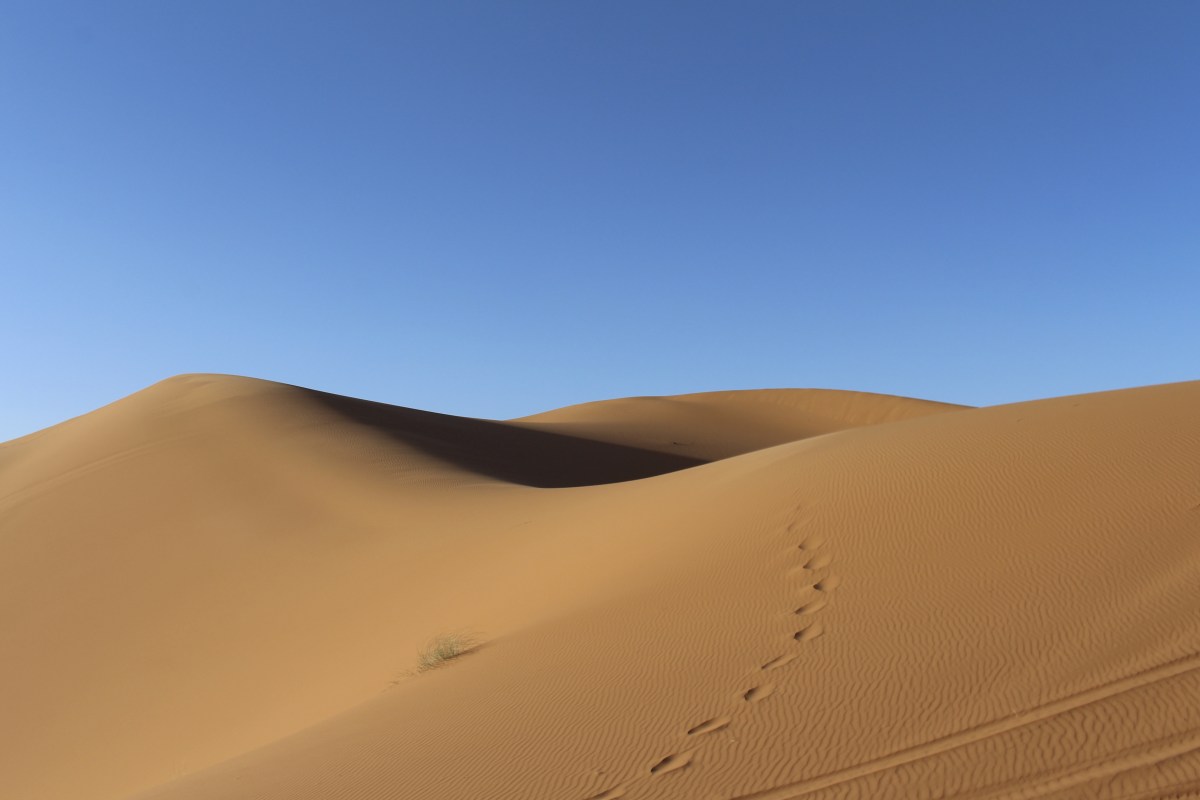 fullsizeoutput_1b5a7