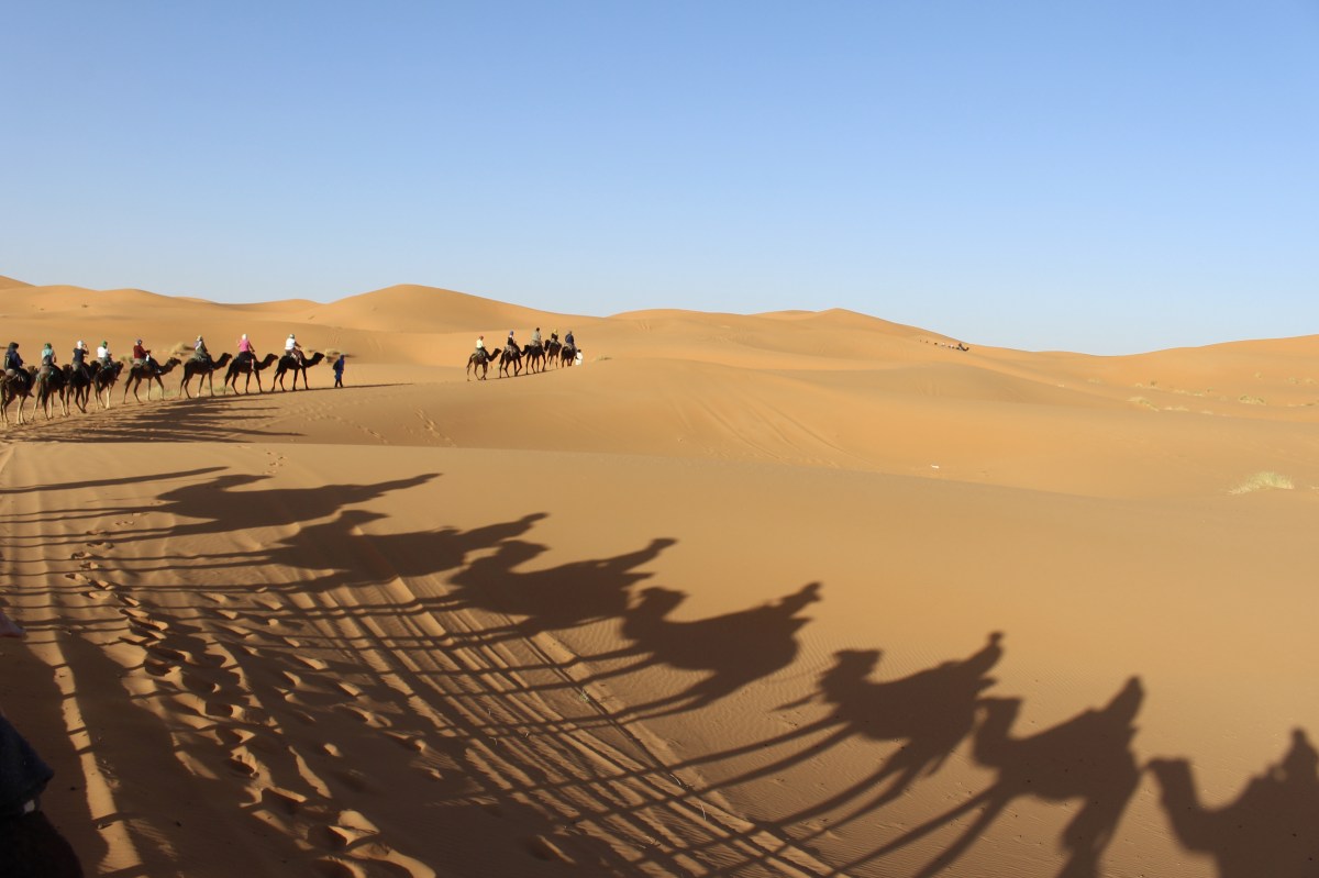 fullsizeoutput_1b5a9