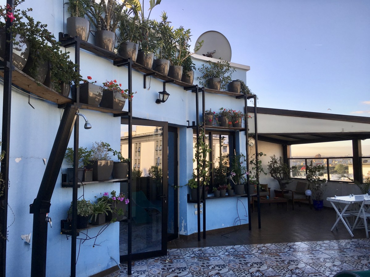 fullsizeoutput_1b5bf