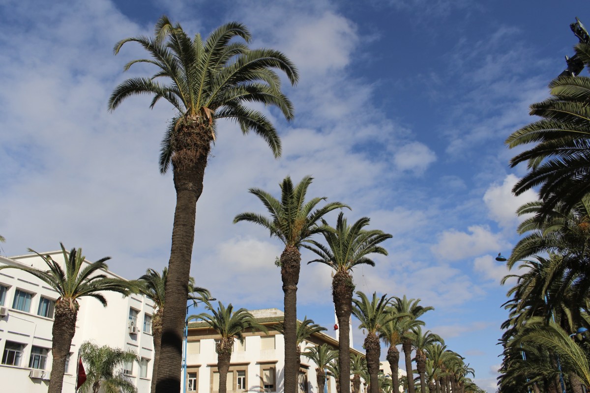 fullsizeoutput_1b686