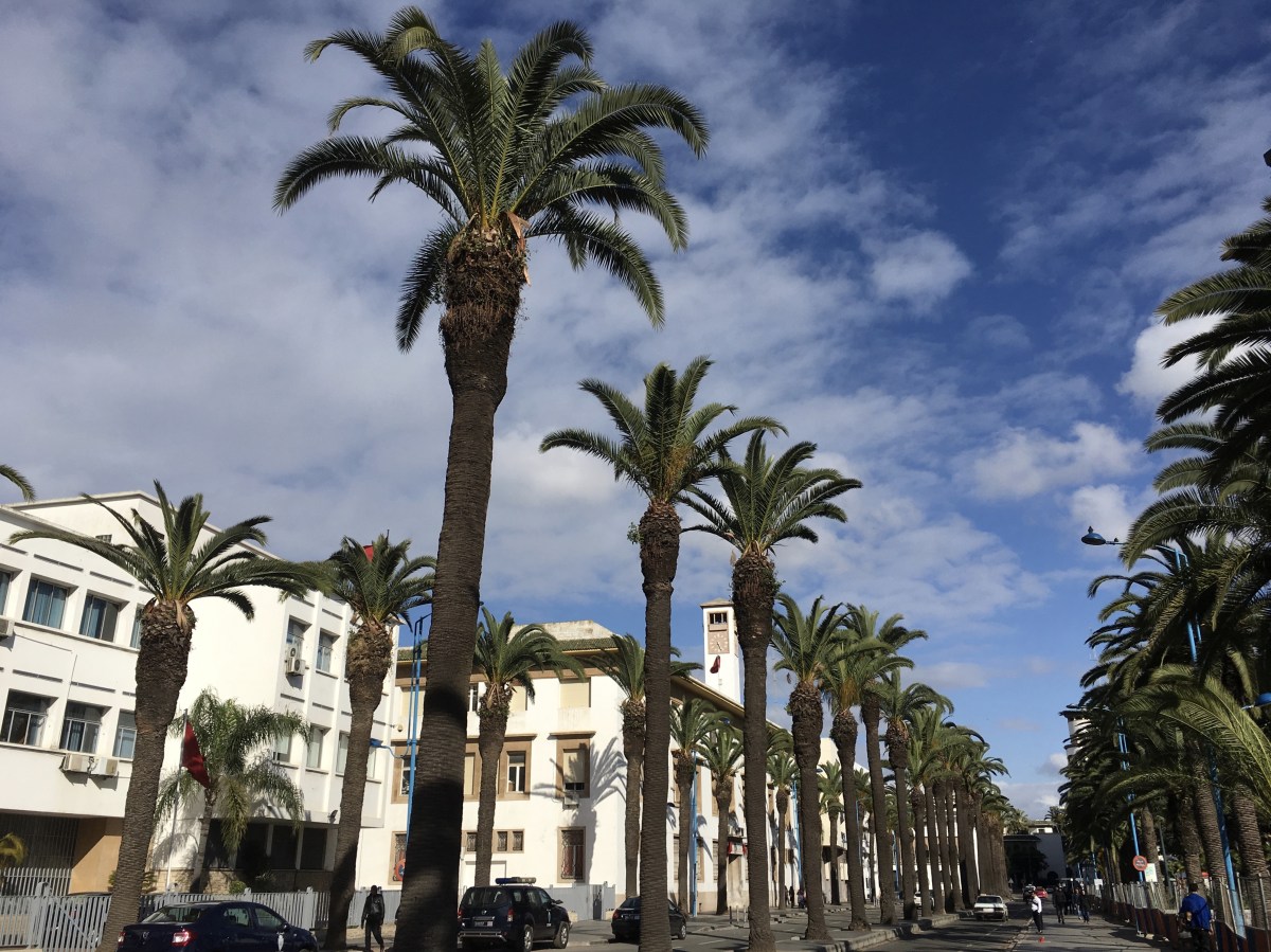 fullsizeoutput_1b69b