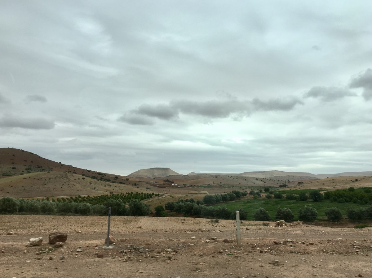 fullsizeoutput_1b783