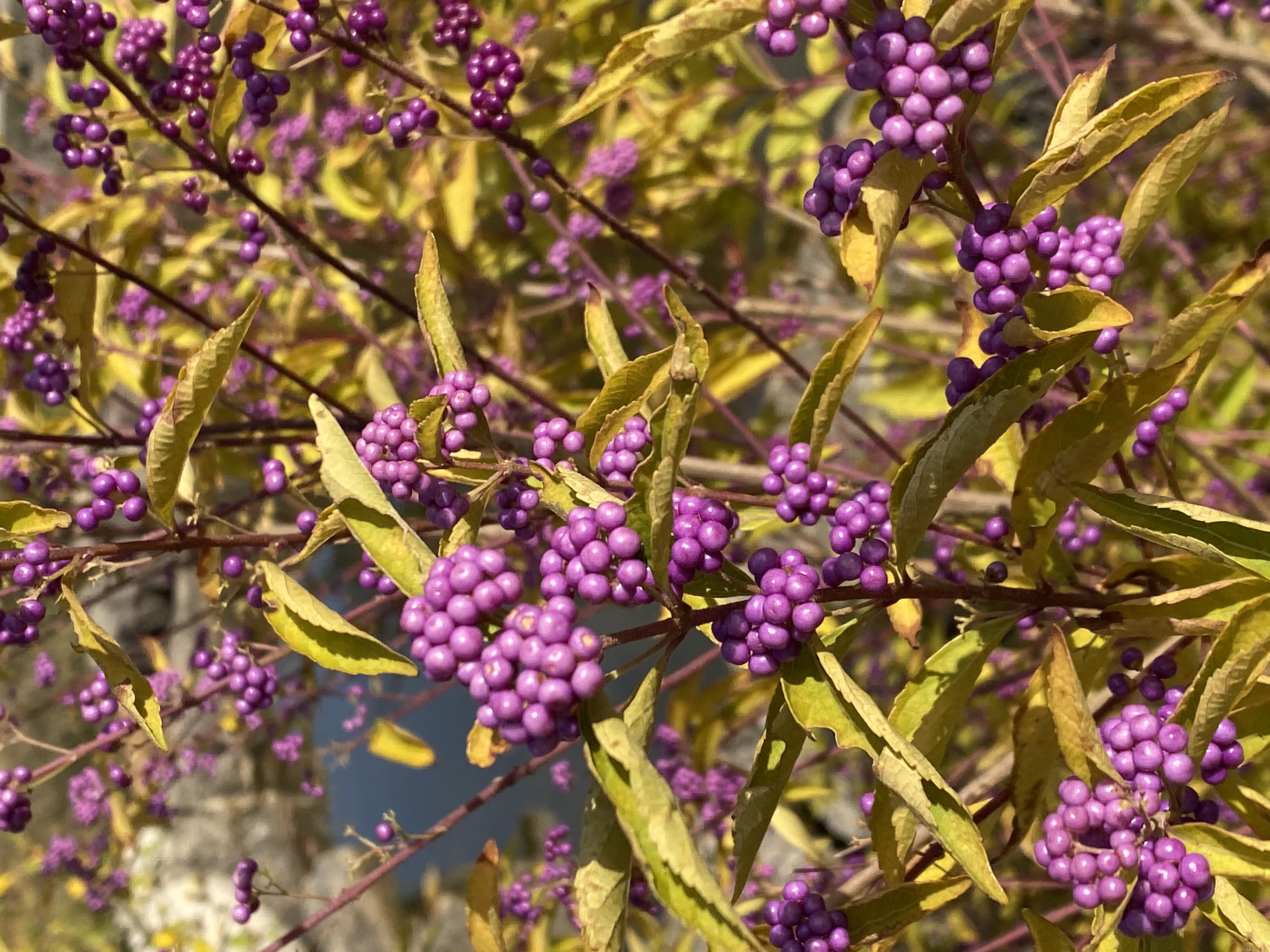 3h7MzXpNRrmo99qQja%UuA