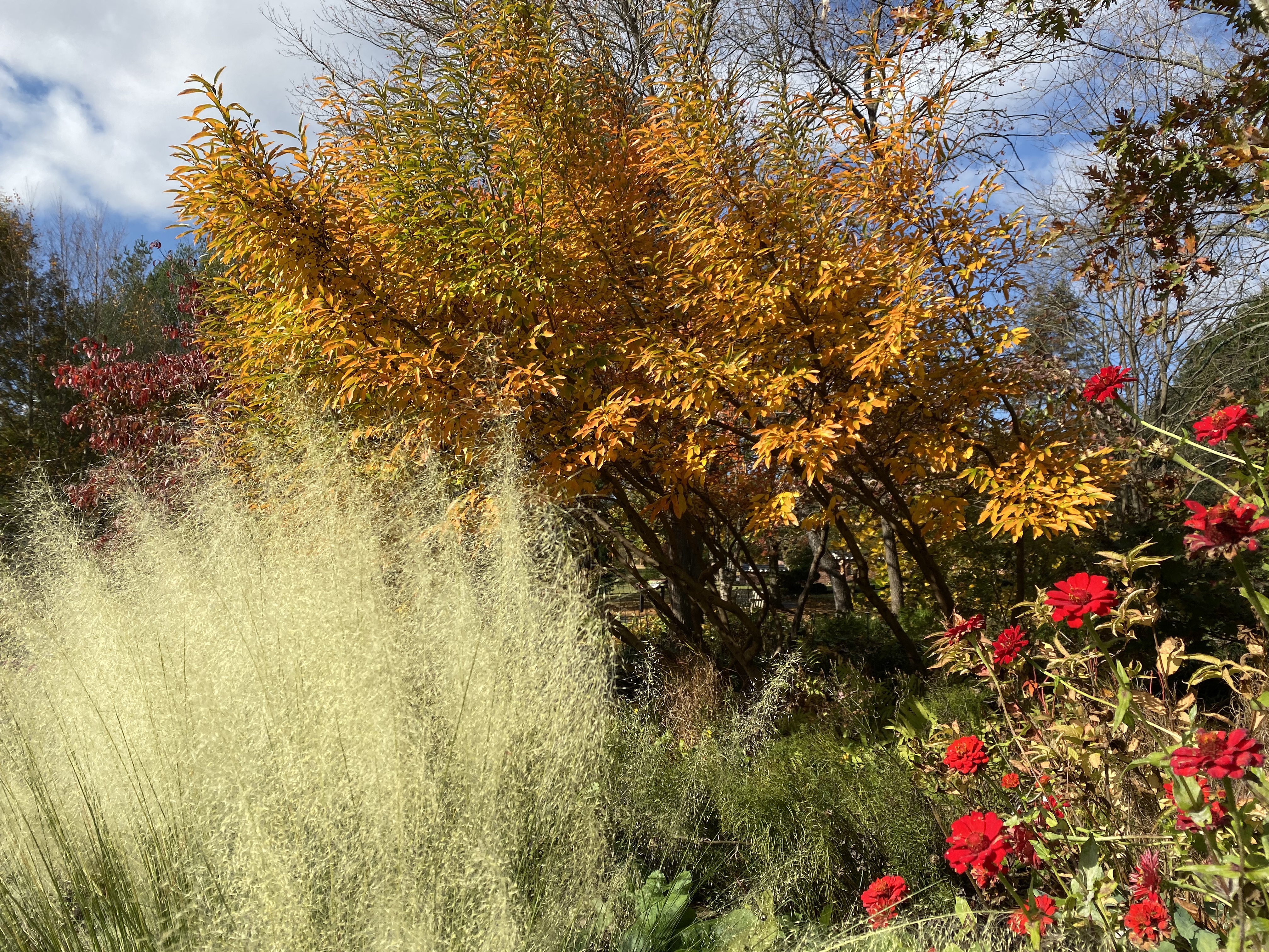 4W7r8%M+QLiefvTZCzhgWA