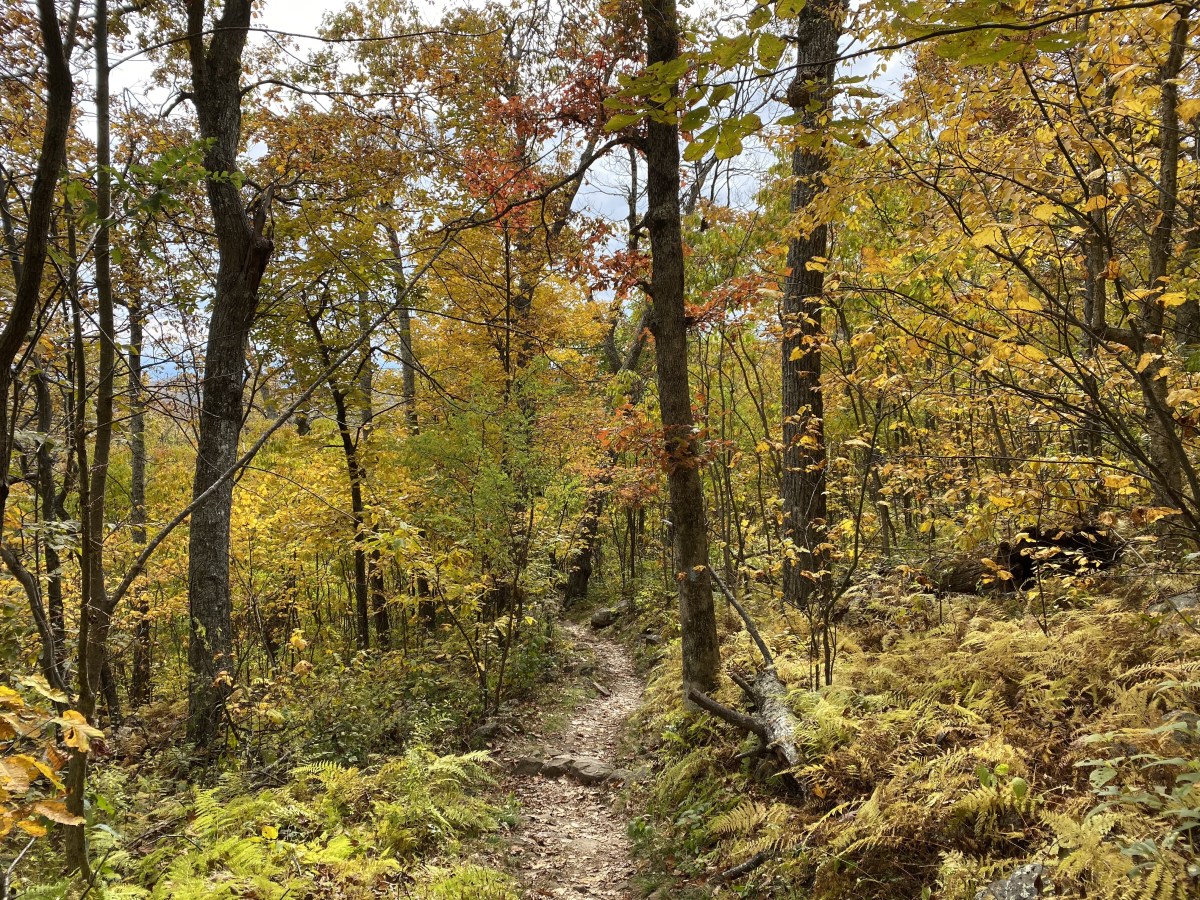 5+vDGMkYSsuFmT+vaBQ+nQ