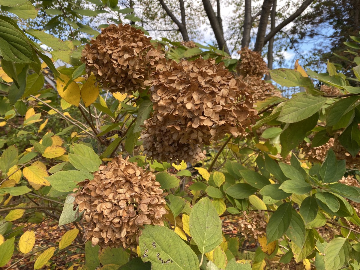 7bF%GUk9T6Wx9Ct7iF9FGw