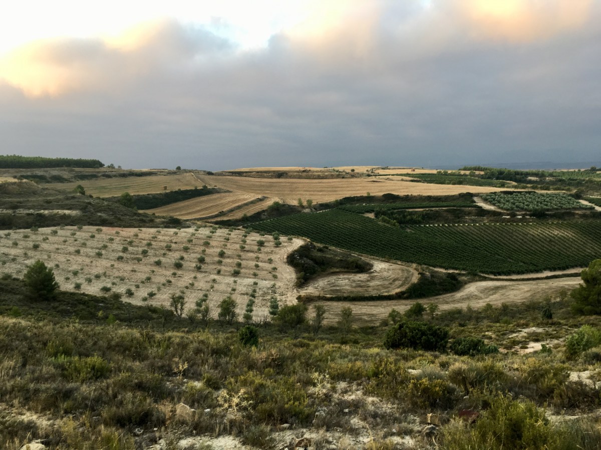 fullsizeoutput_16fda