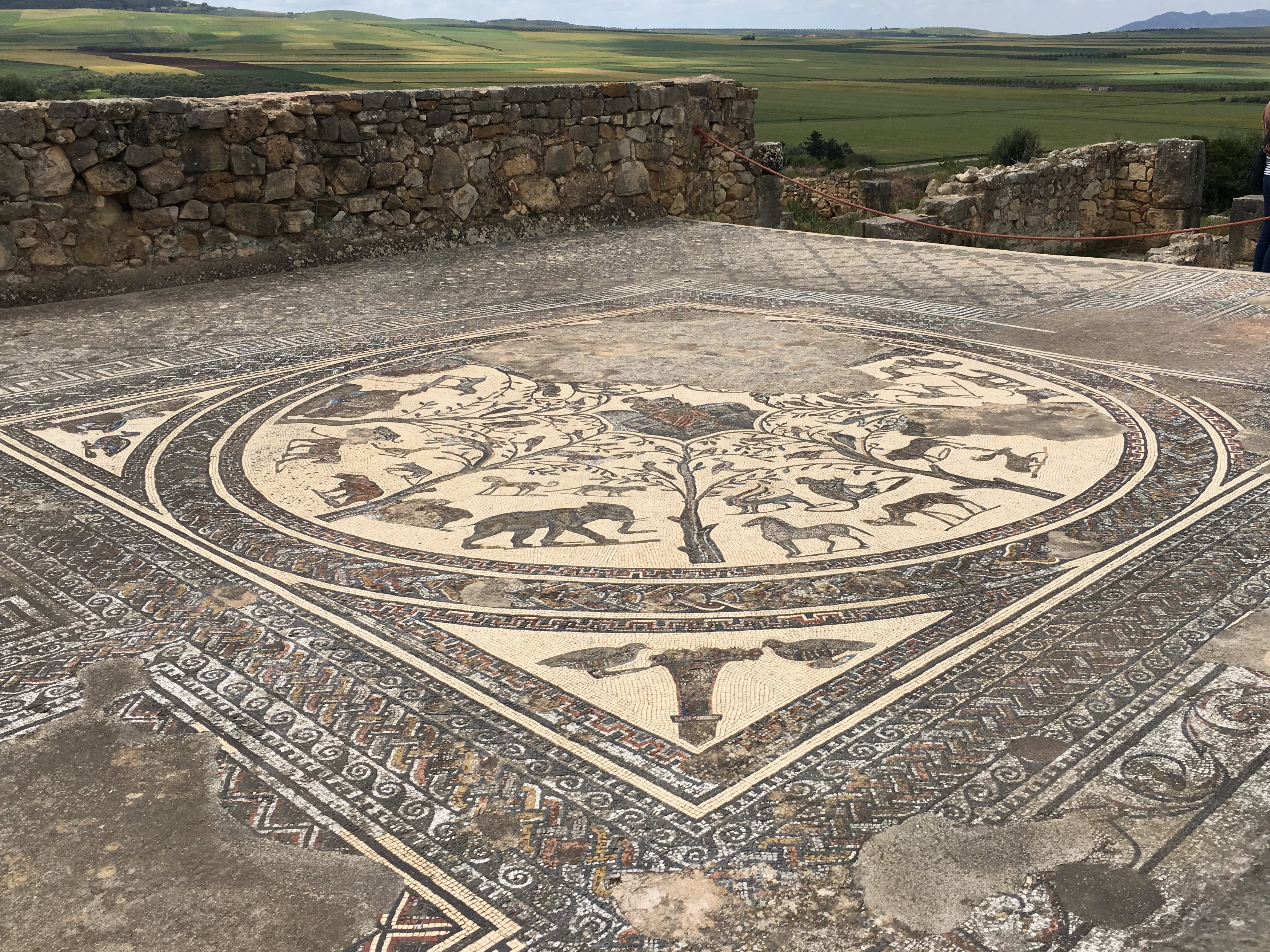 fullsizeoutput_18375