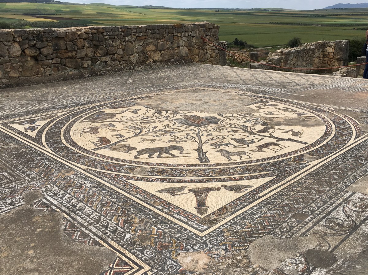 fullsizeoutput_18375