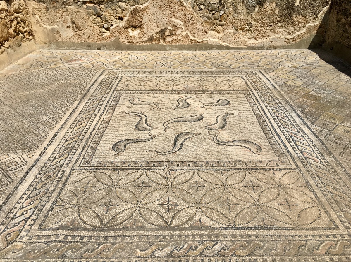 fullsizeoutput_18376