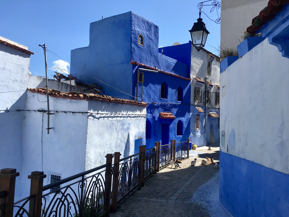 fullsizeoutput_1907f