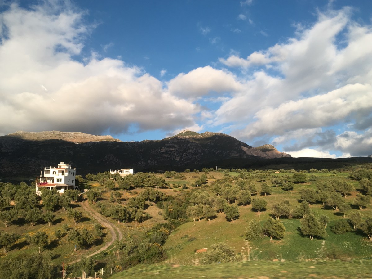 fullsizeoutput_1909e