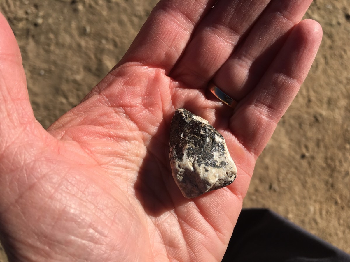 fullsizeoutput_19328