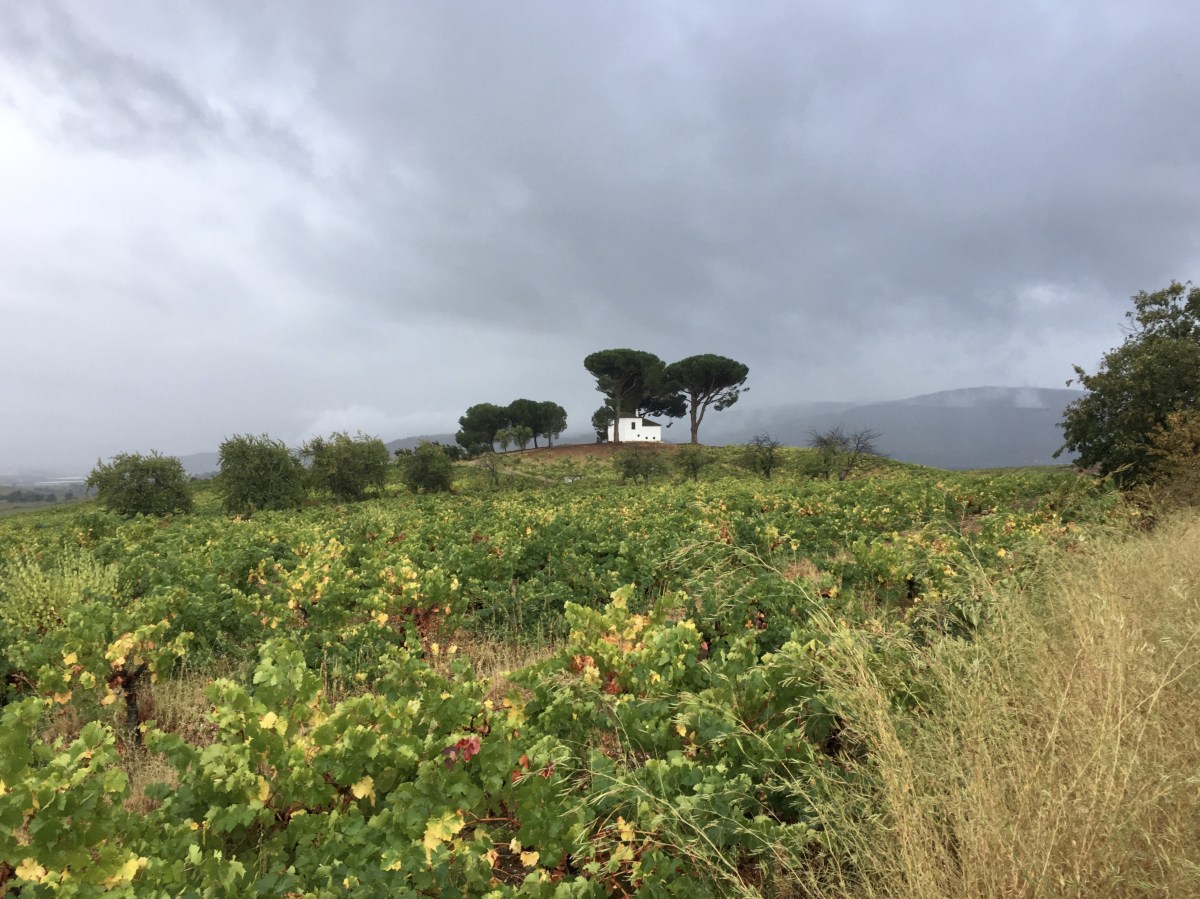 fullsizeoutput_1aa5b