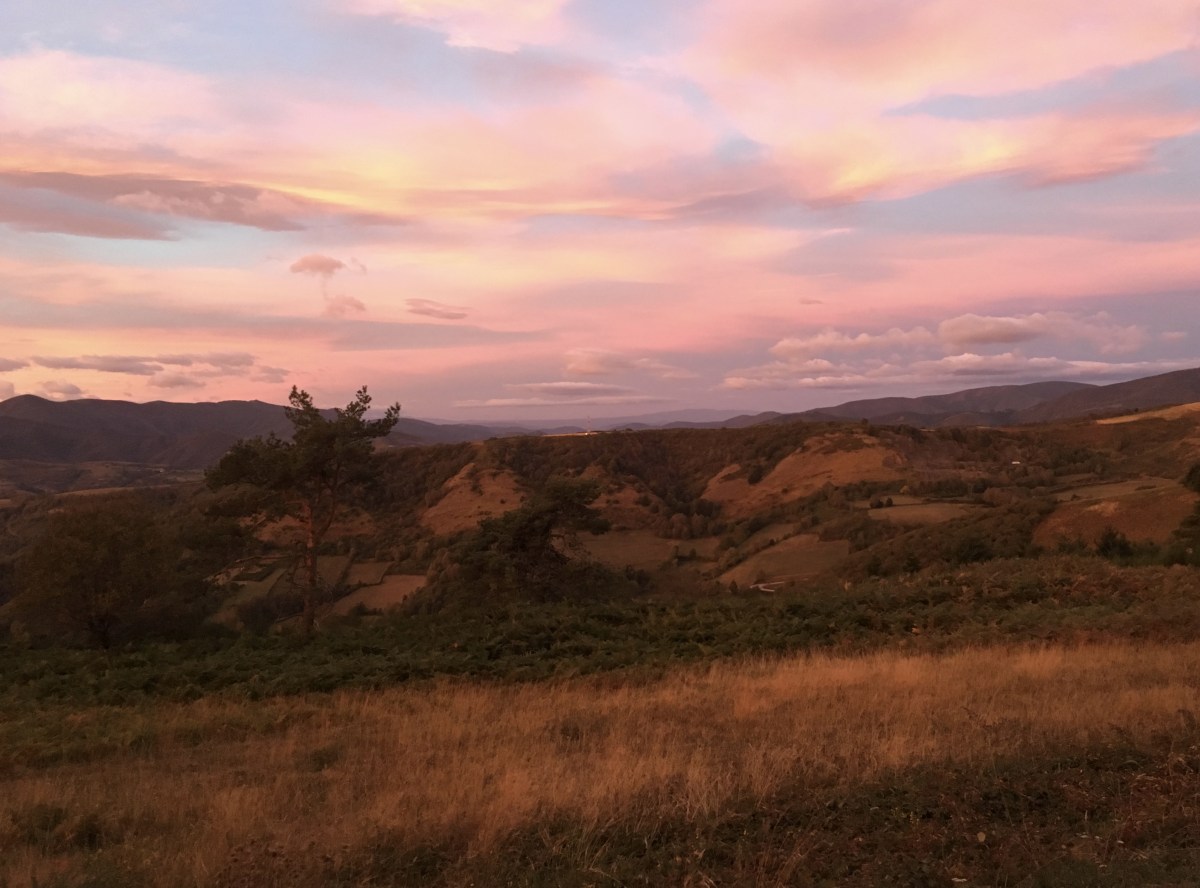 fullsizeoutput_1ad42