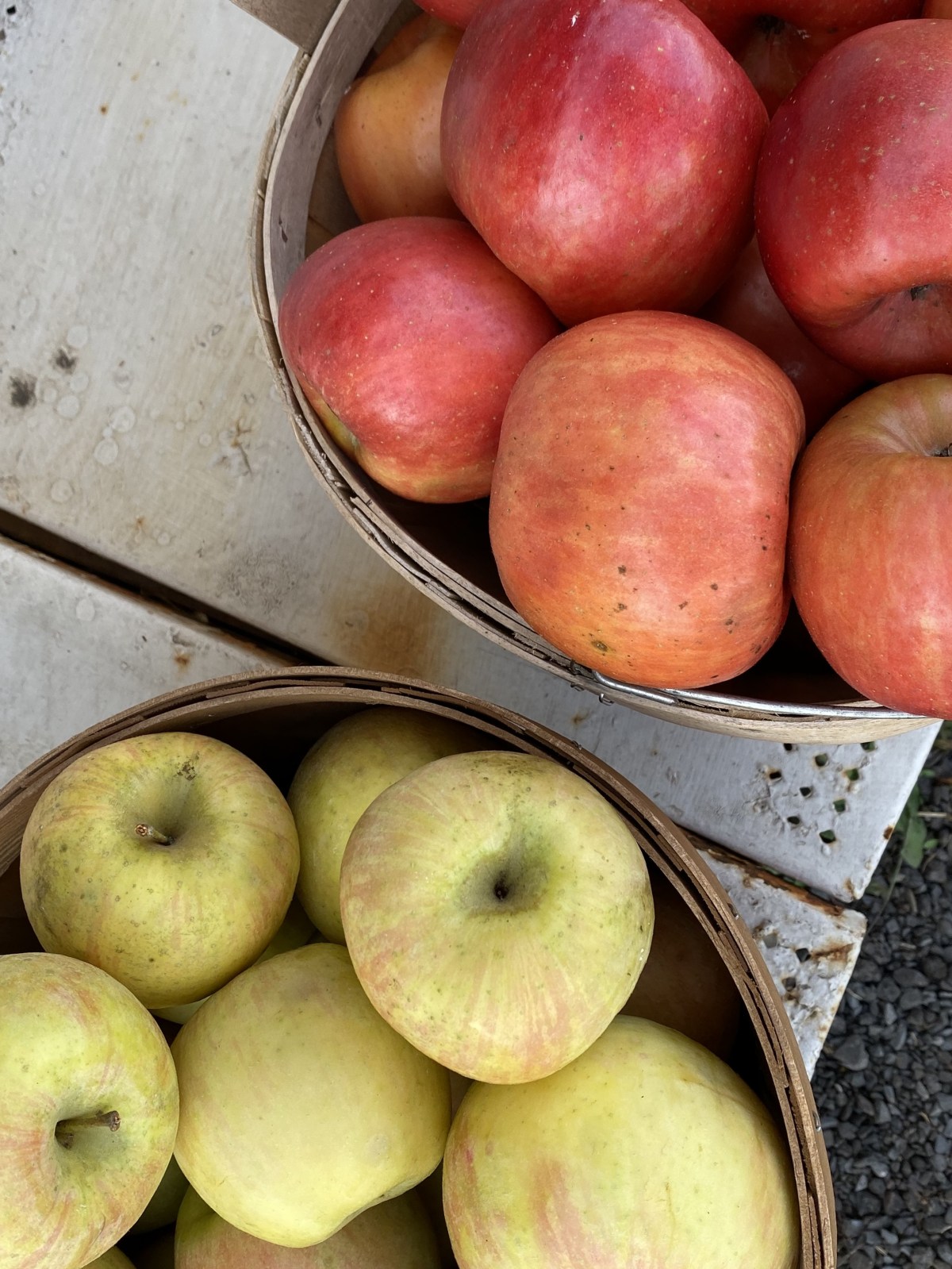 fullsizeoutput_1af39