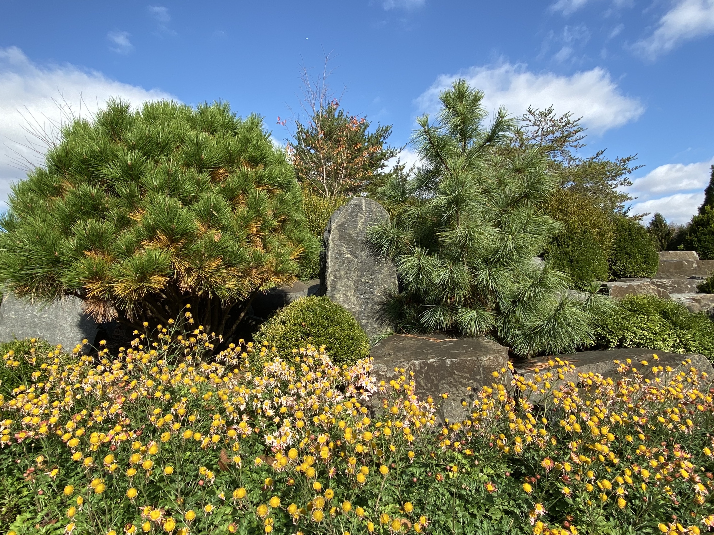 fullsizeoutput_1afdf