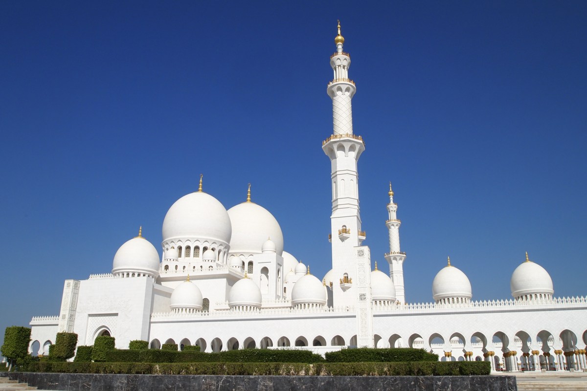 fullsizeoutput_1b7f0