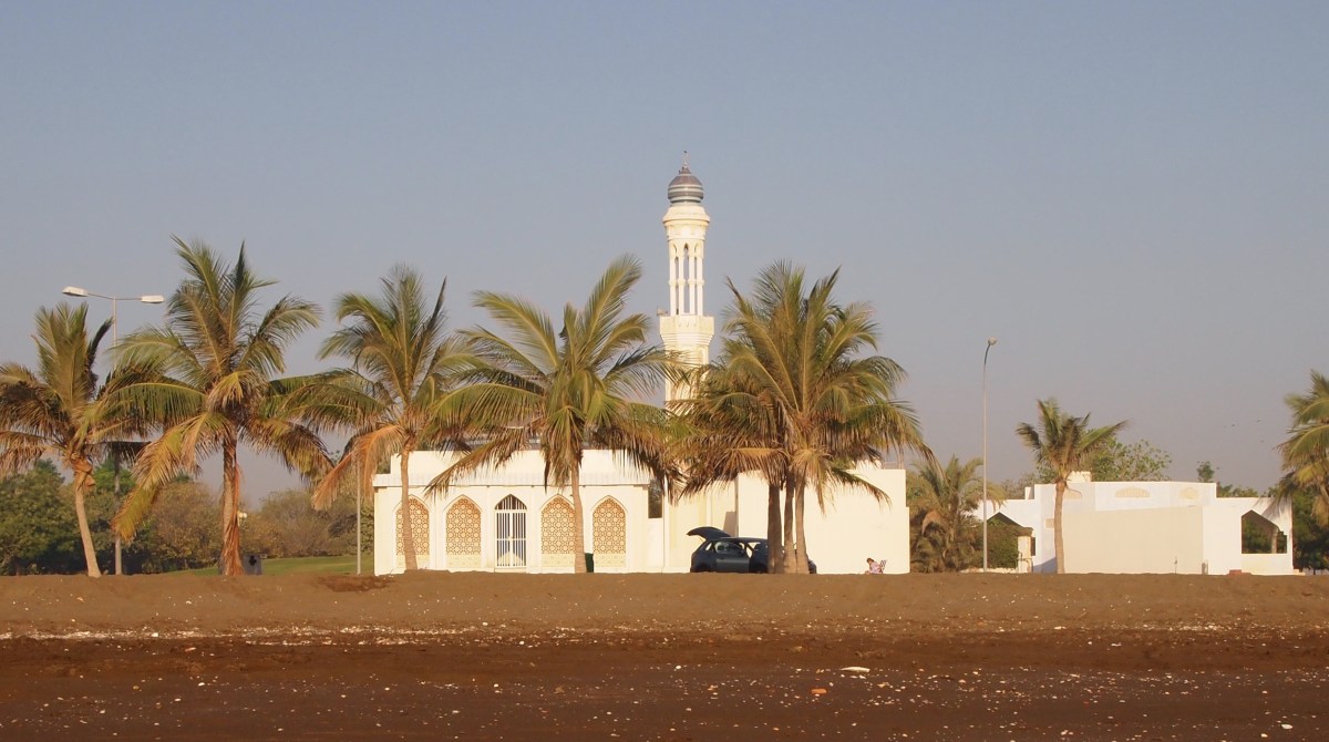 fullsizeoutput_1b7ff