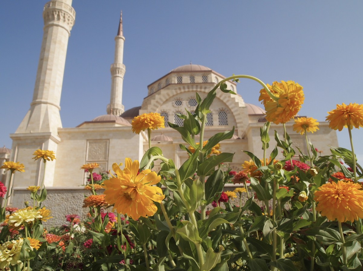 fullsizeoutput_1b804