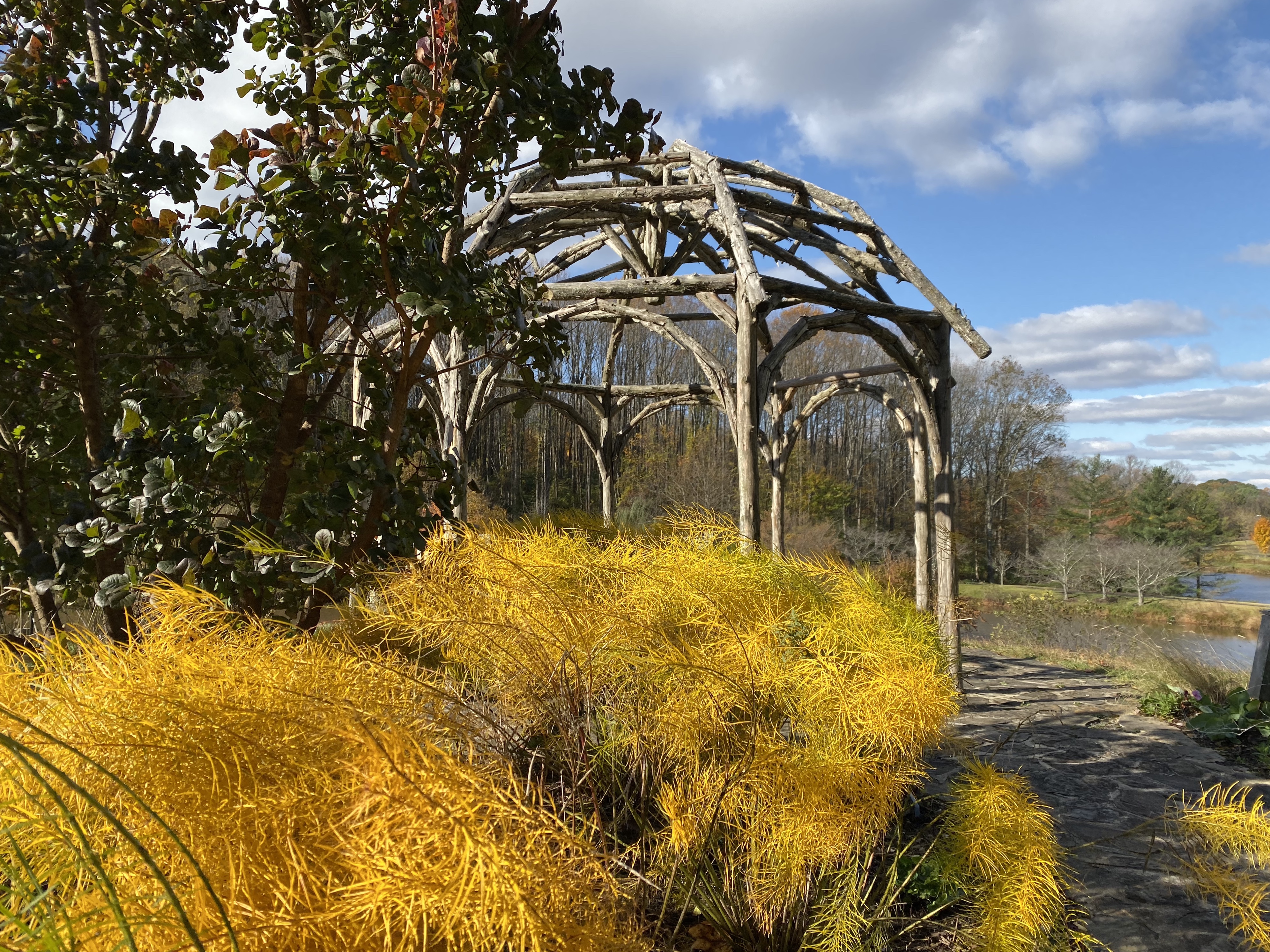 fullsizeoutput_1b825