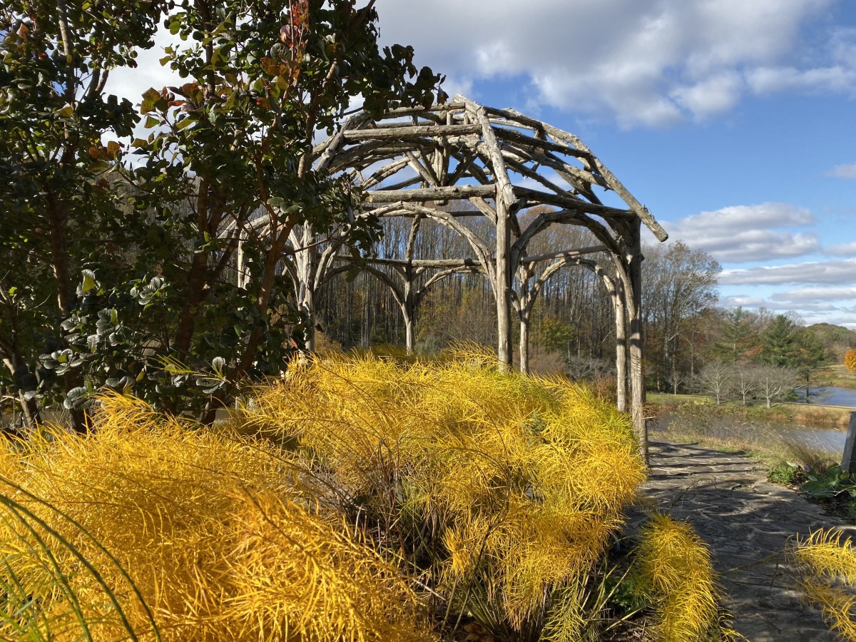 fullsizeoutput_1b825