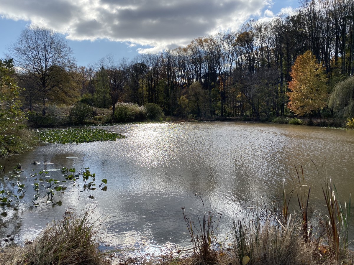 fullsizeoutput_1b831