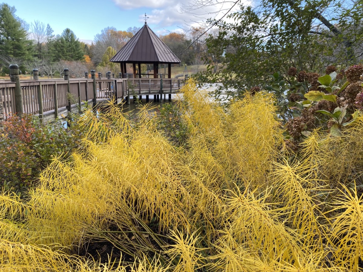 fullsizeoutput_1b840