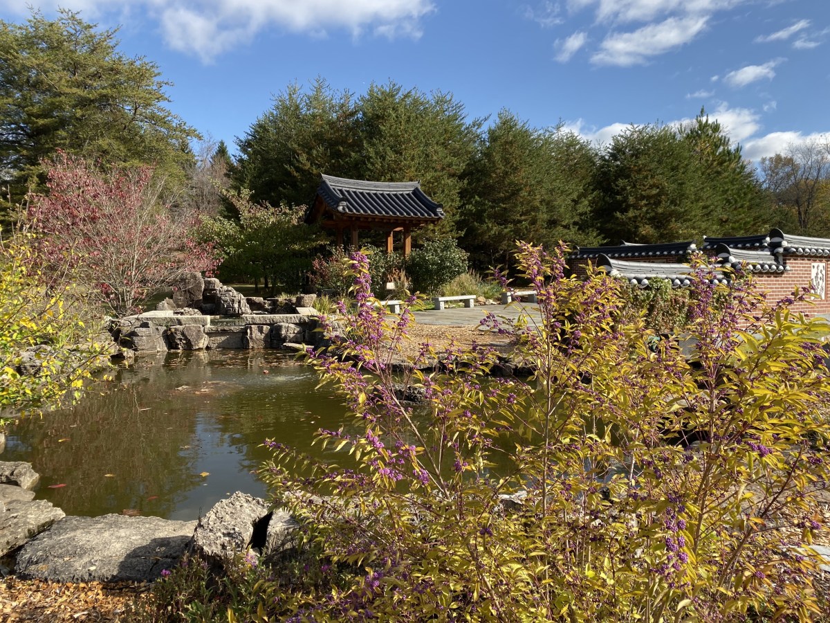 fullsizeoutput_1b84e