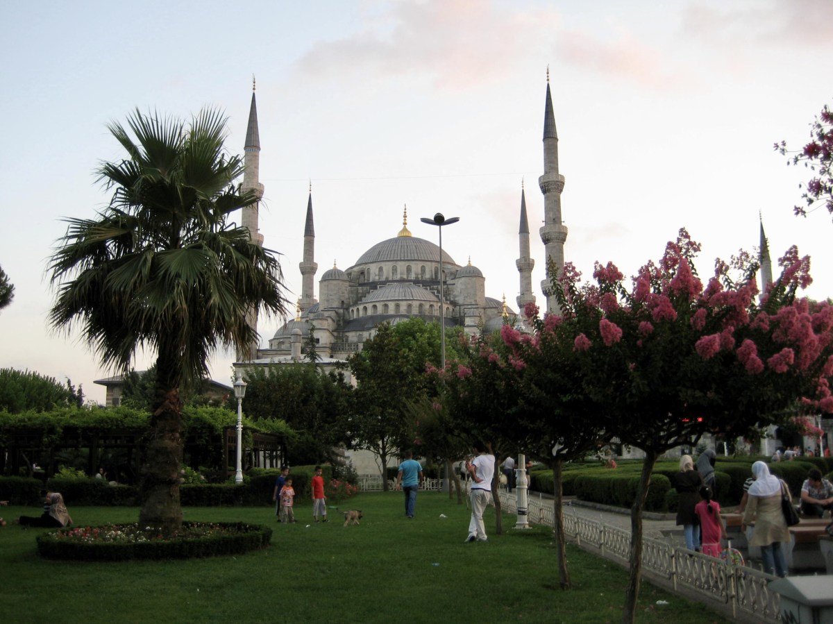 fullsizeoutput_1b85c