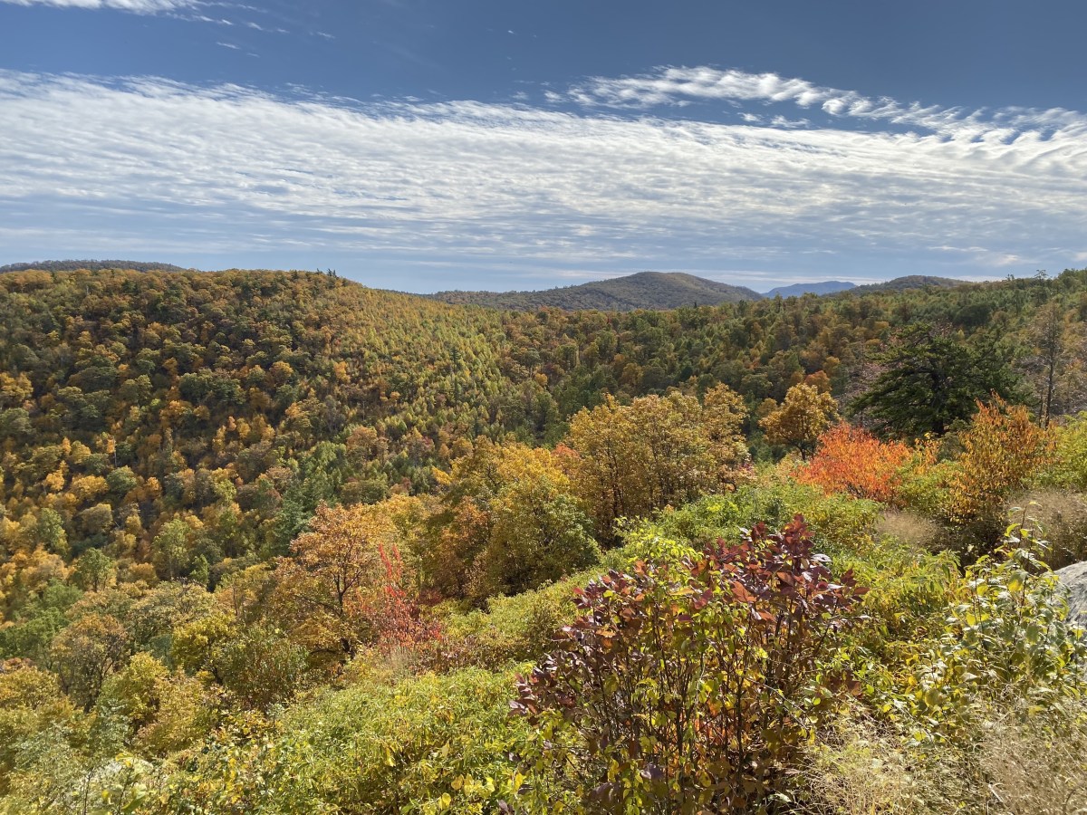 fullsizeoutput_1b90b