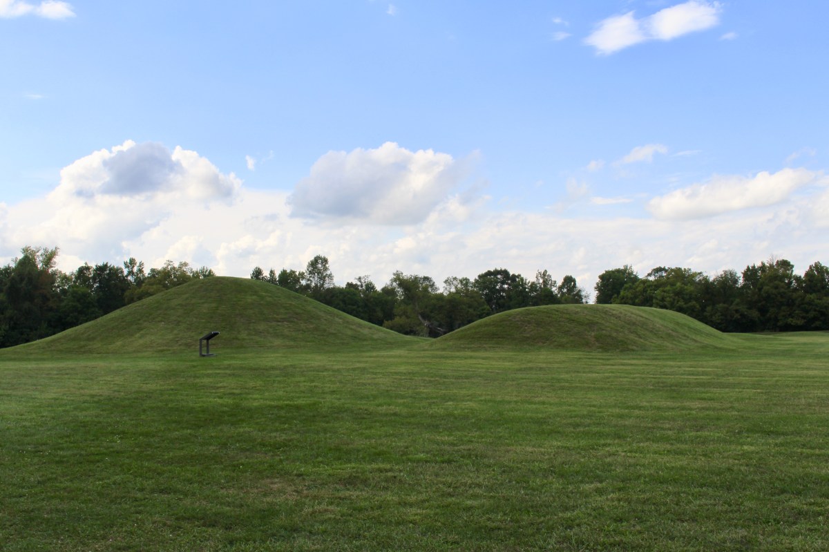 fullsizeoutput_1b951