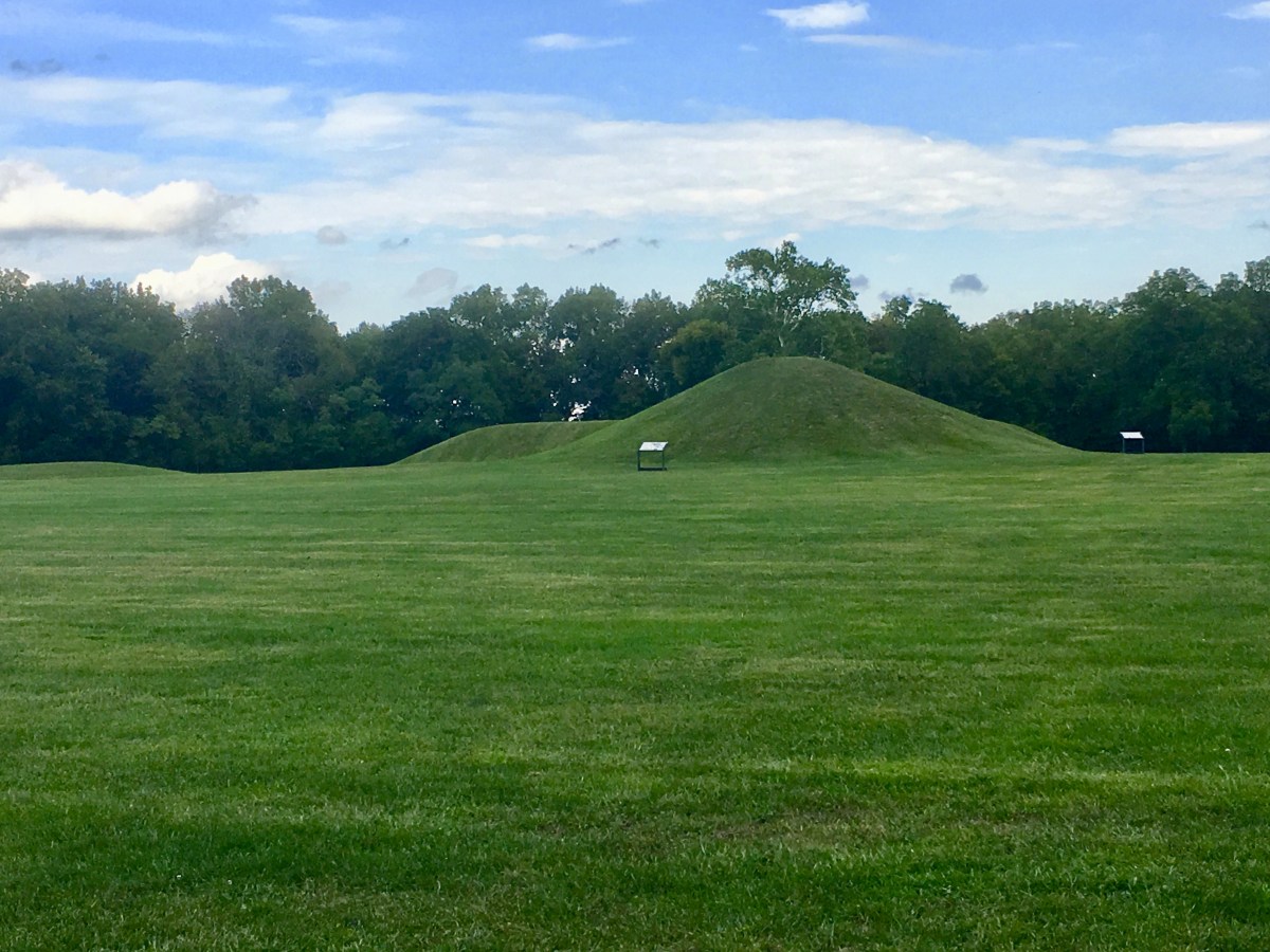 fullsizeoutput_1b974