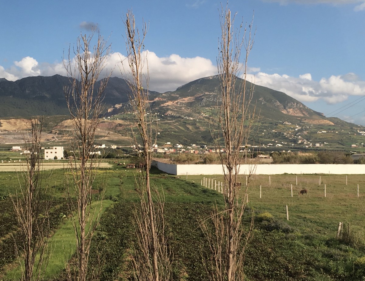 fullsizeoutput_1b9b2