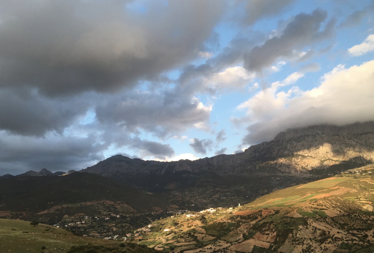 fullsizeoutput_1b9b8