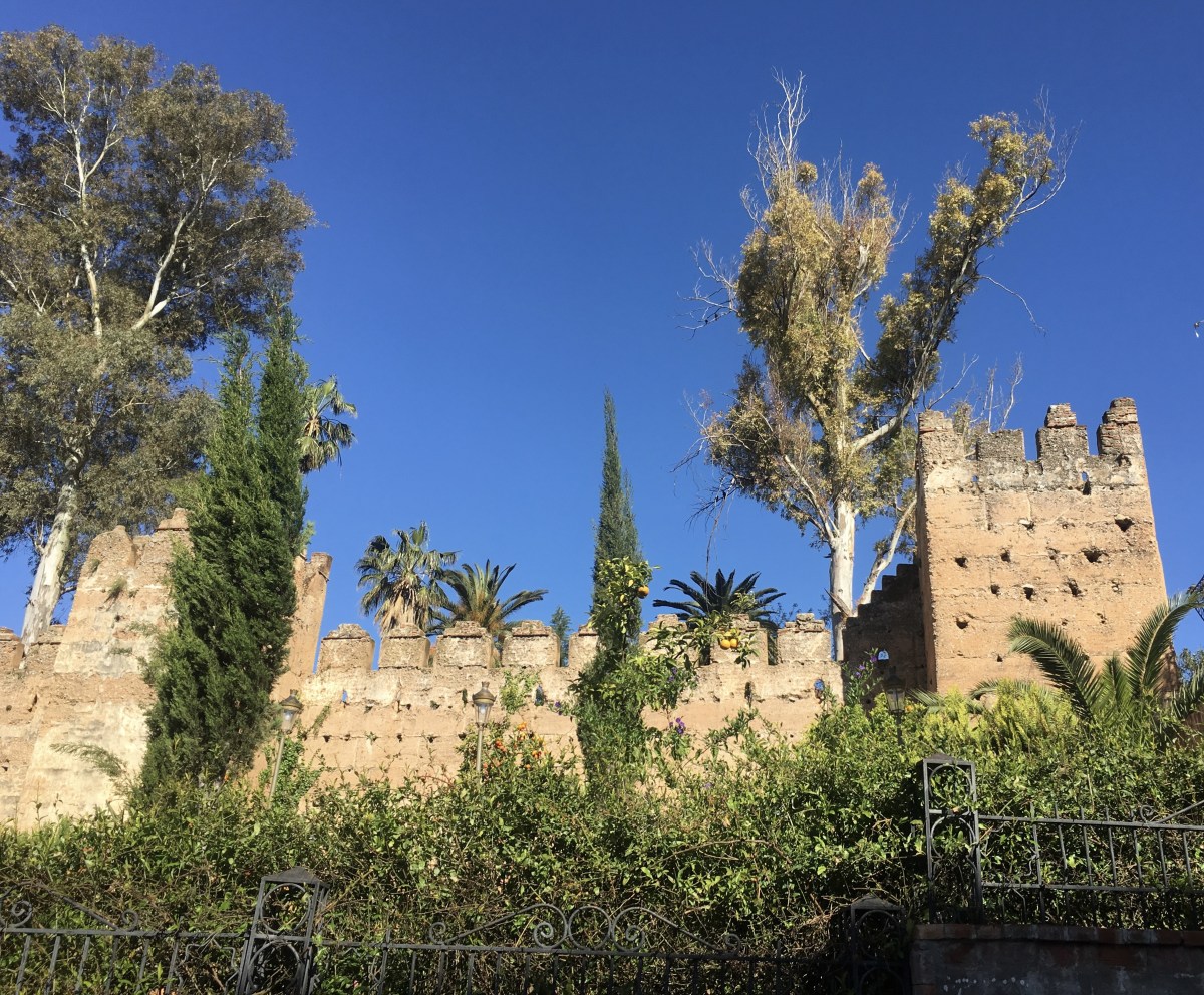 fullsizeoutput_1b9dd