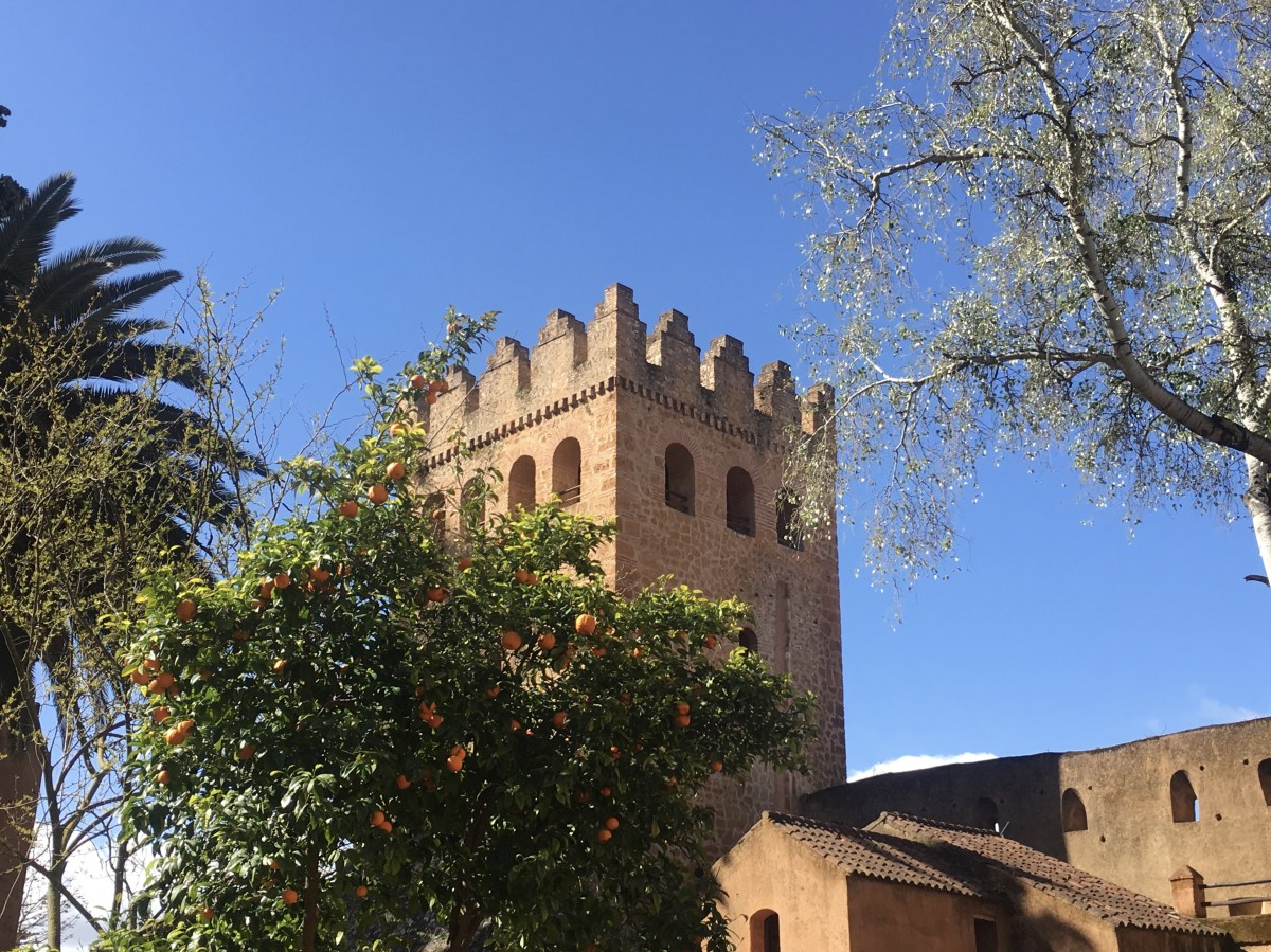 fullsizeoutput_1b9f1