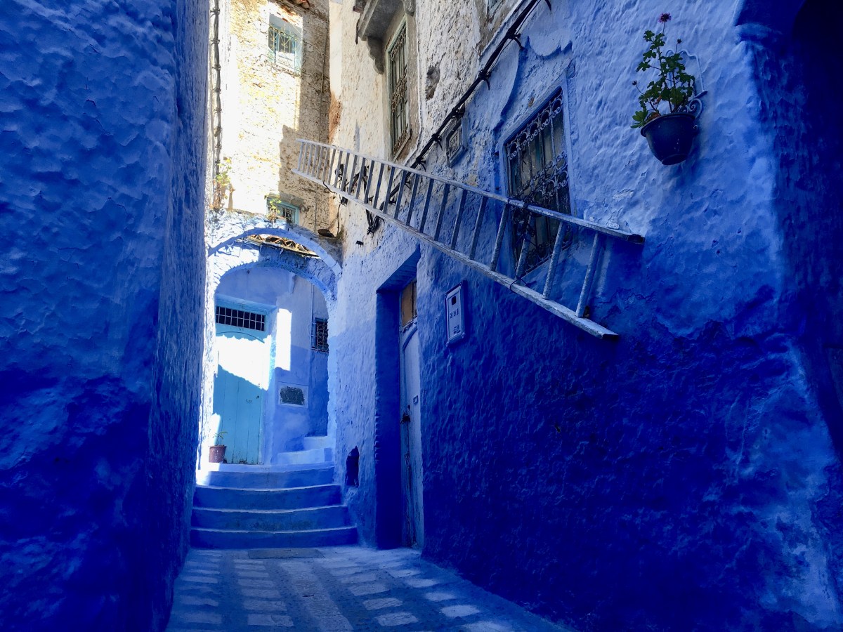 fullsizeoutput_1ba30