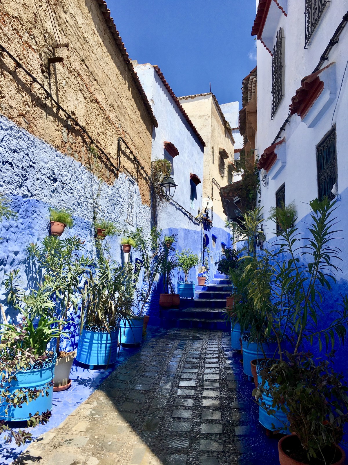 fullsizeoutput_1ba4f