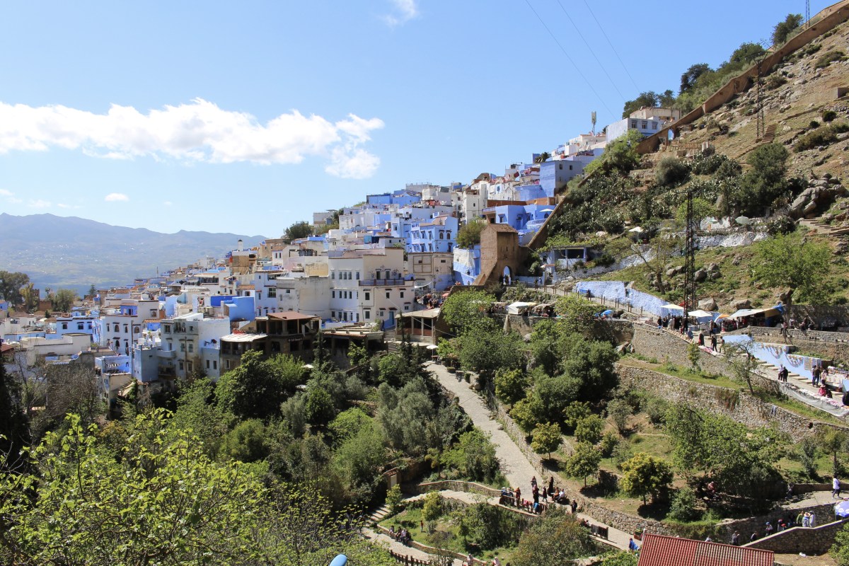 fullsizeoutput_1ba62