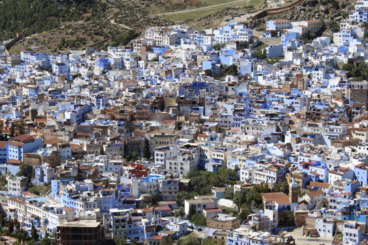 fullsizeoutput_1ba68