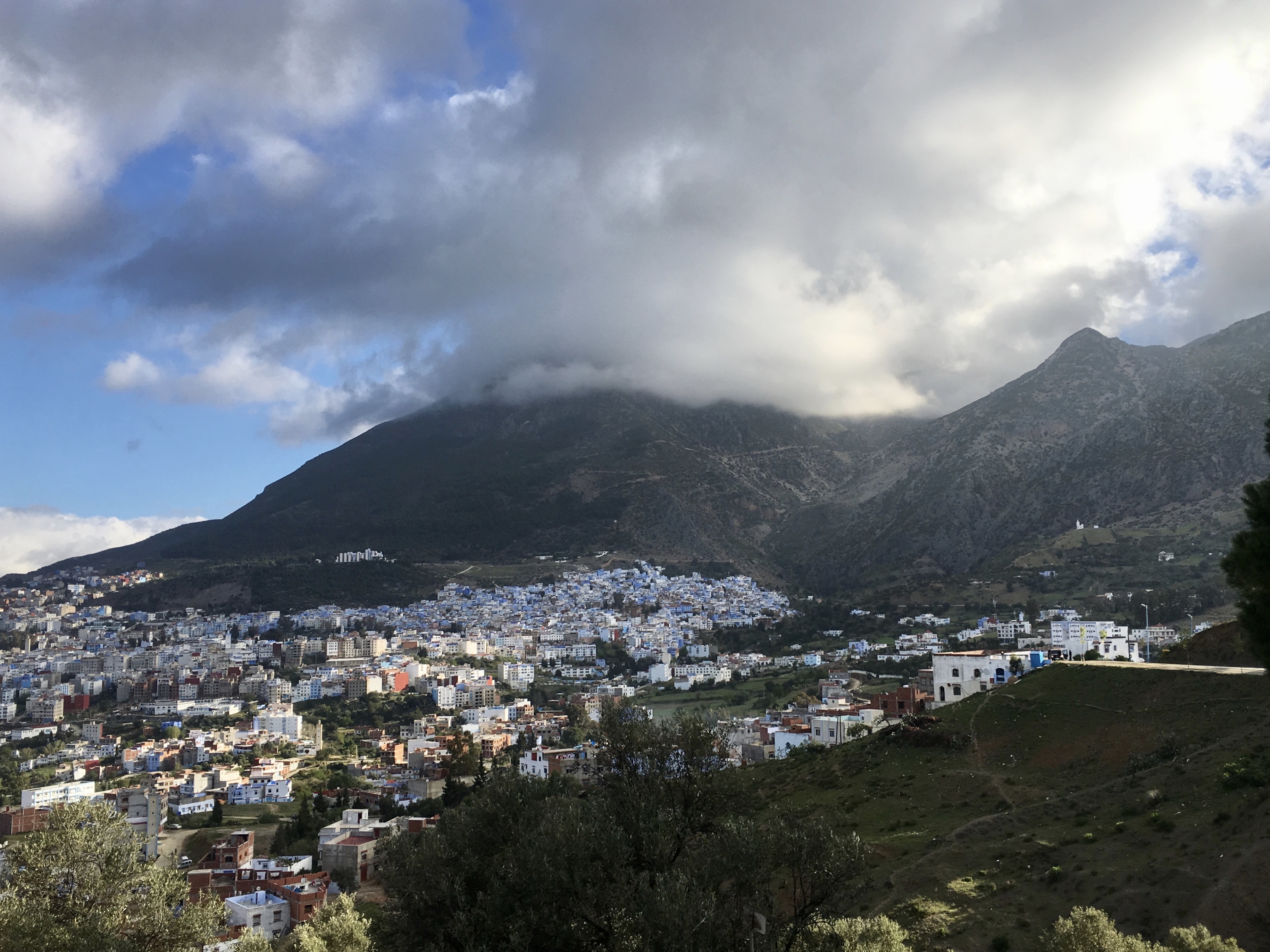 fullsizeoutput_1ba80